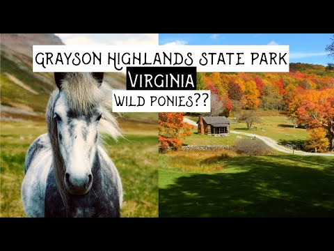 Grayson Highlands State Park