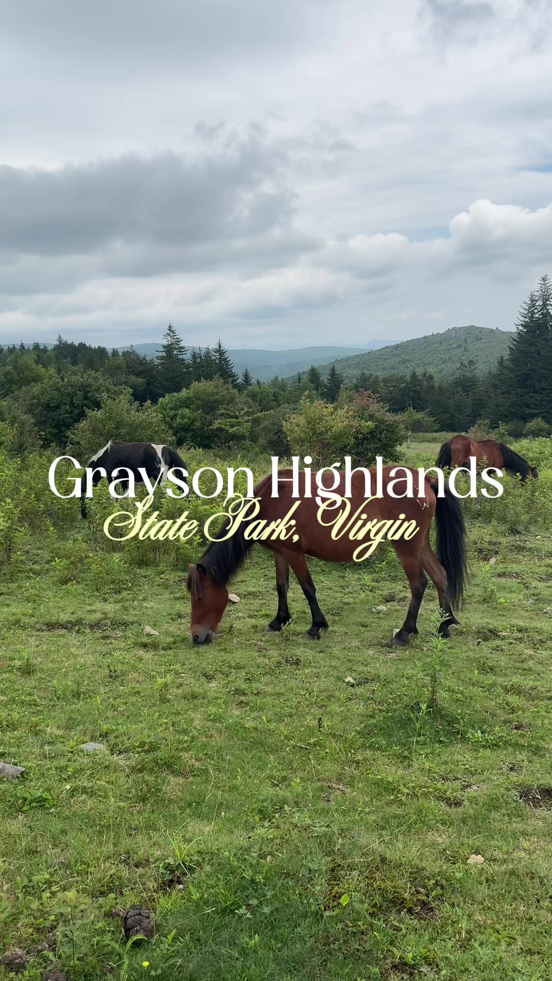 Grayson Highlands State Park