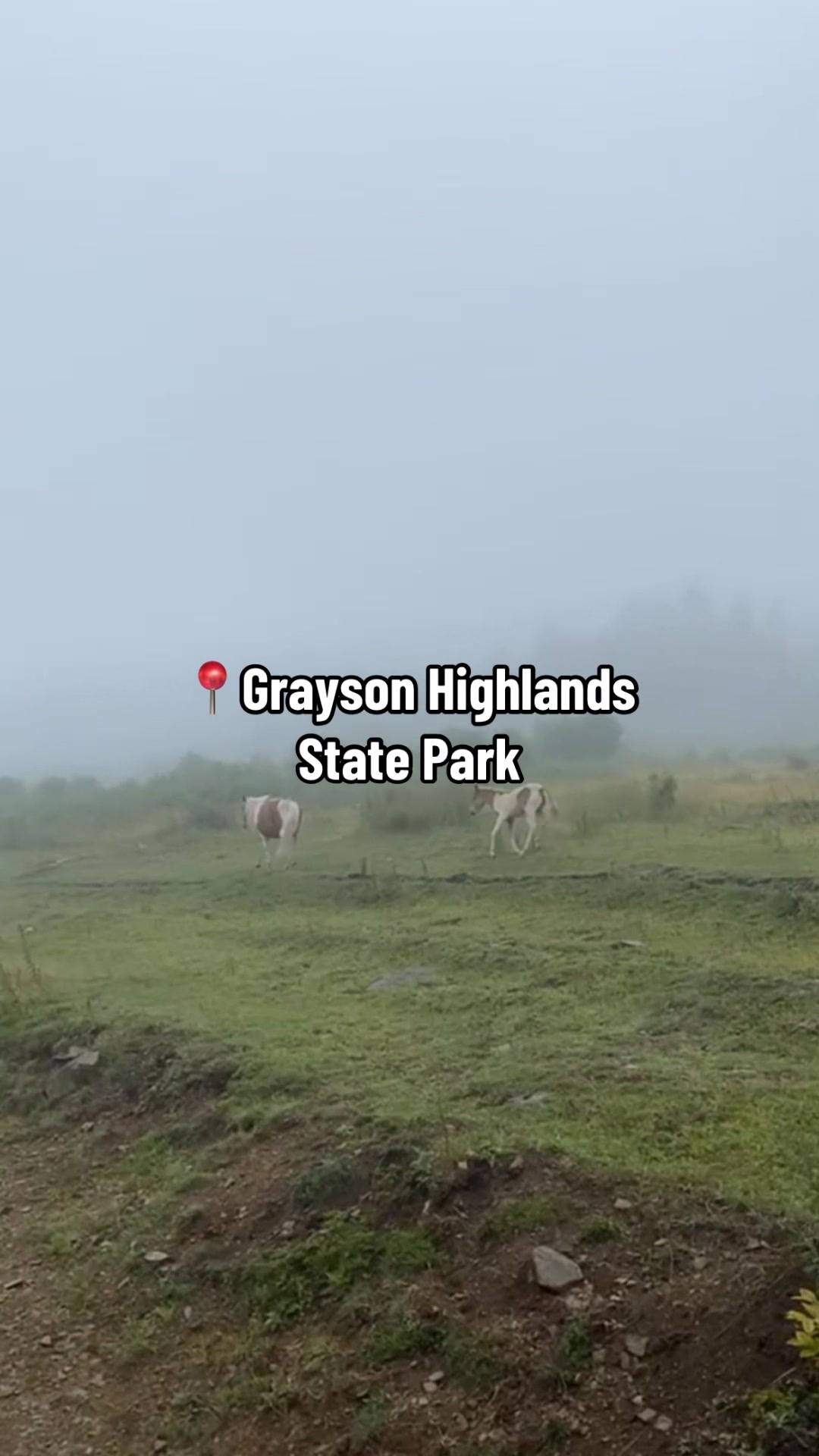 Grayson Highlands State Park