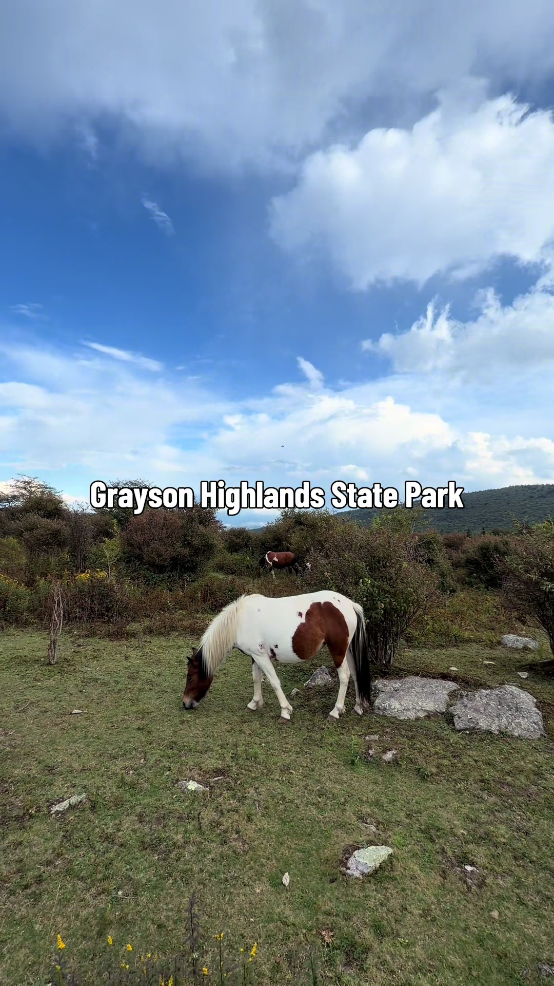 Grayson Highlands State Park