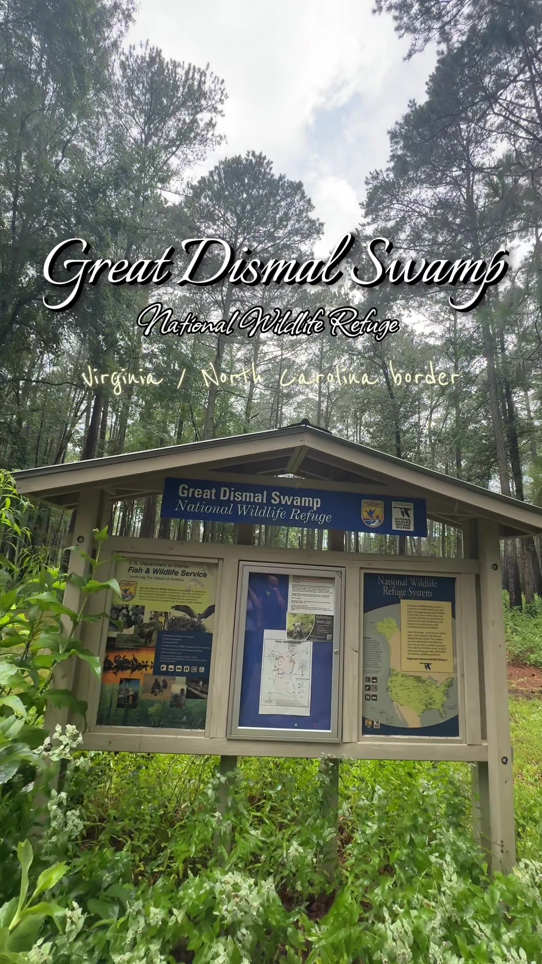 Great Dismal Swamp National Wildlife Refuge