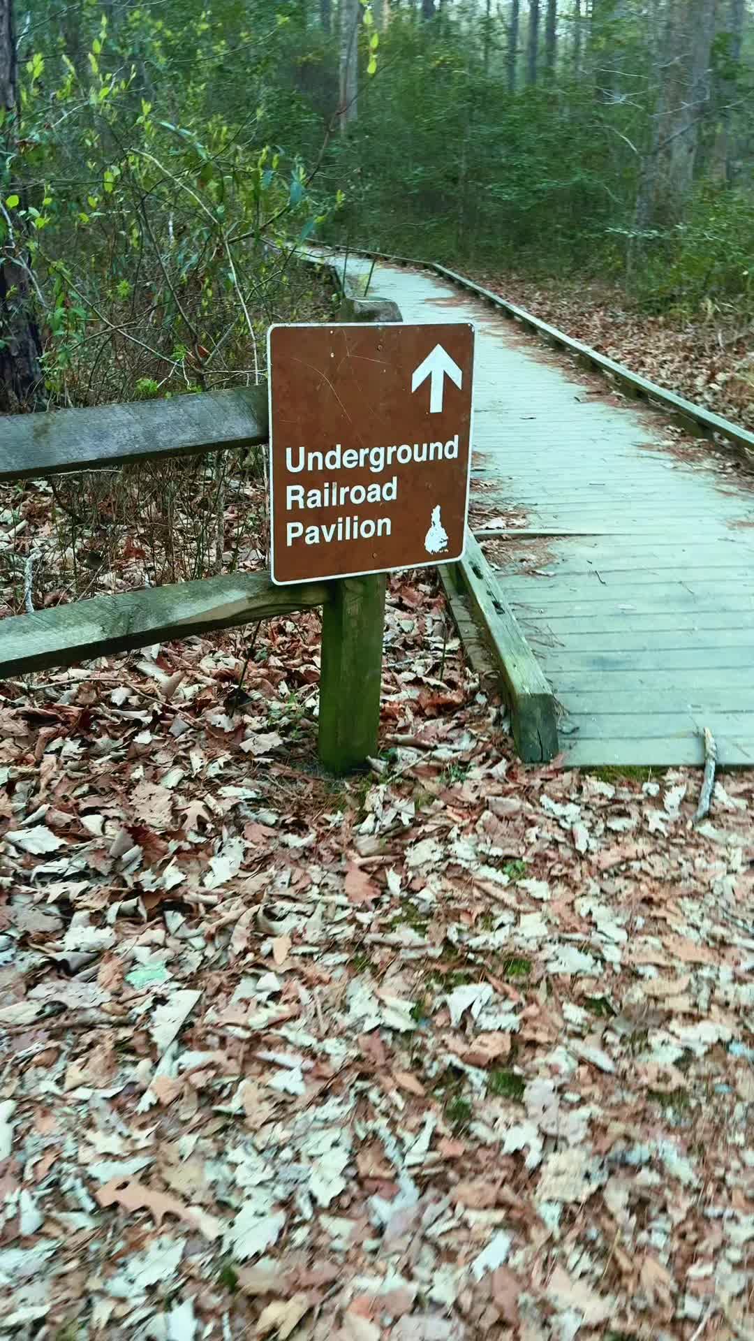 Great Dismal Swamp National Wildlife Refuge