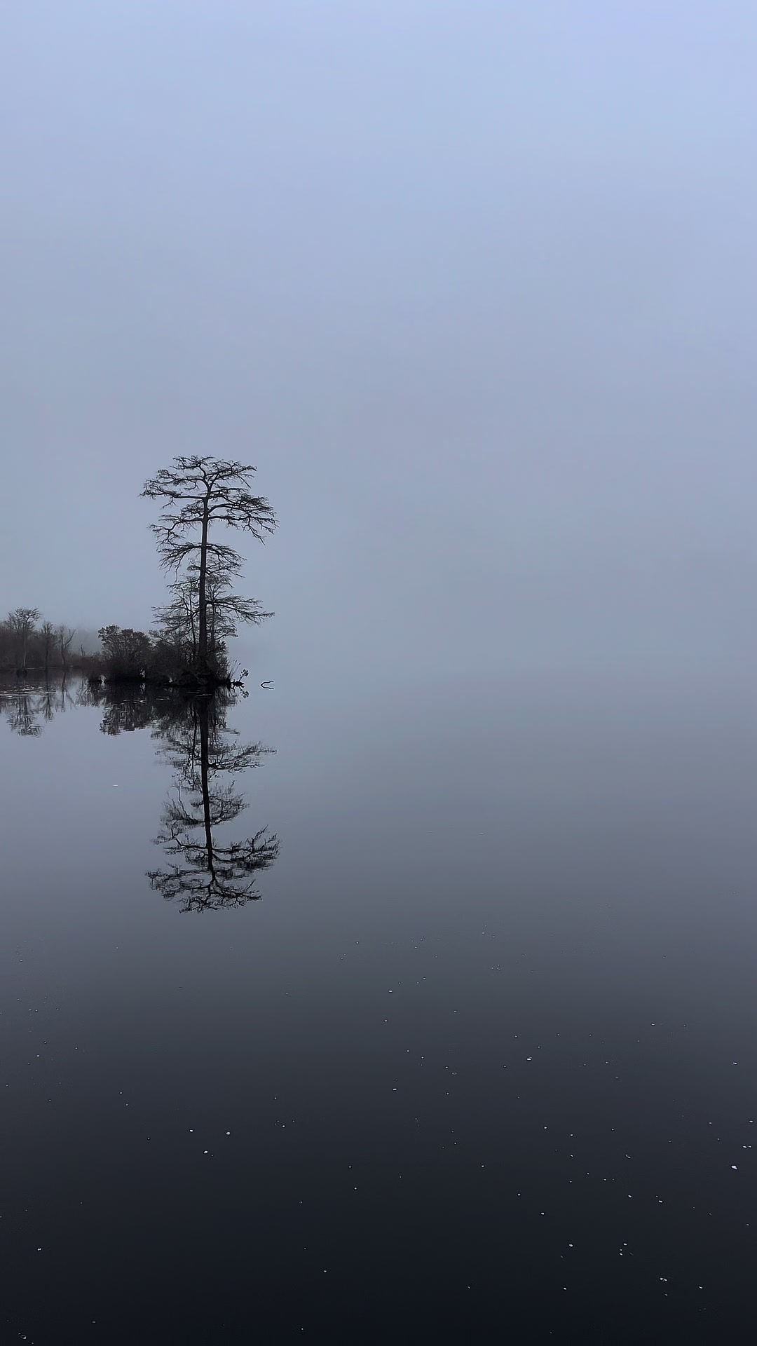 Great Dismal Swamp National Wildlife Refuge