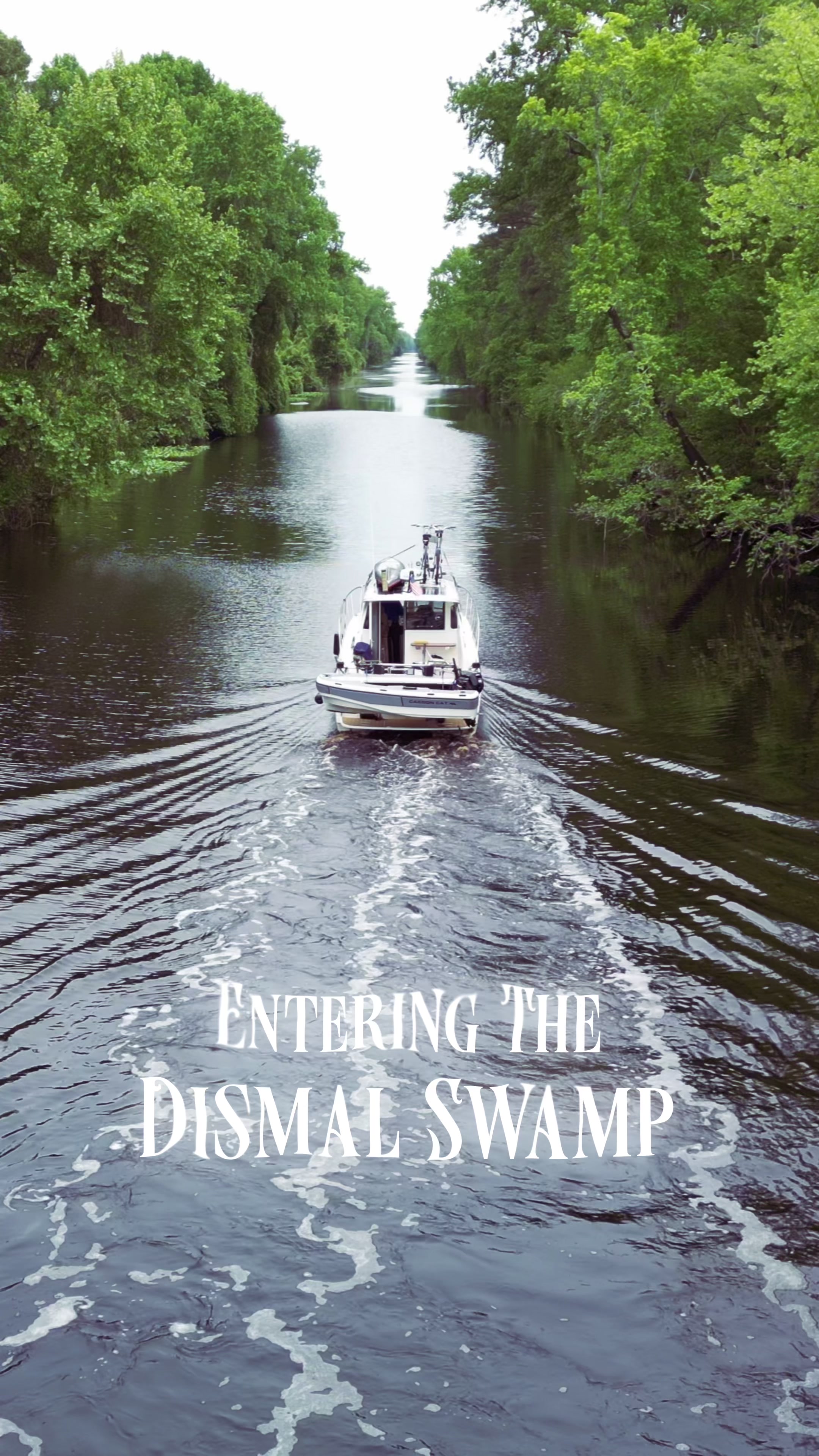 Great Dismal Swamp National Wildlife Refuge
