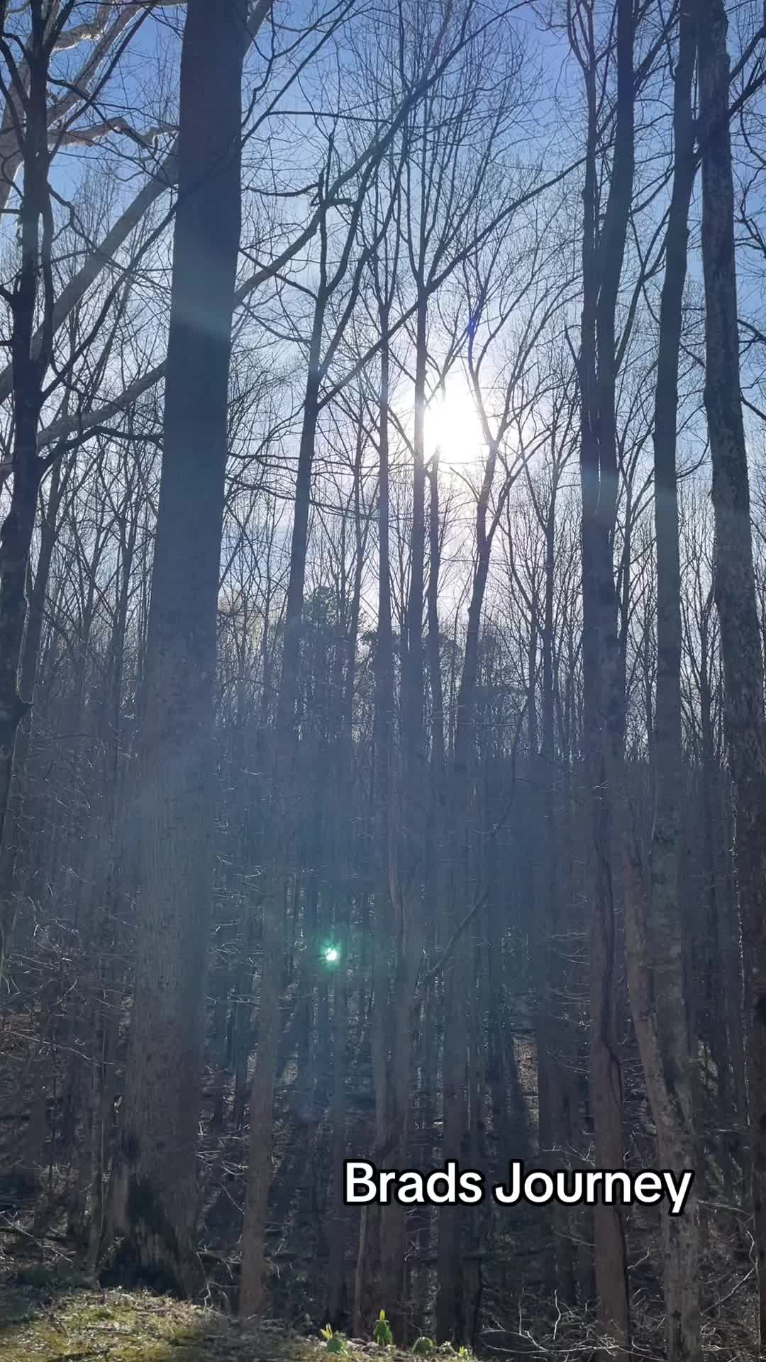 Great Smoky Mountains National Park (Gatlinburg Entrance)