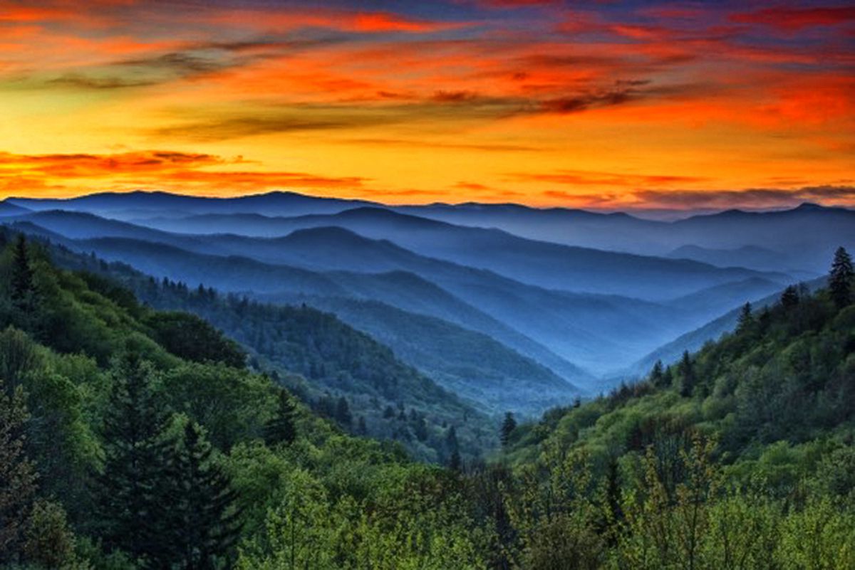10 Best Places for Dog Friendly Weekend Getaways in Tennessee