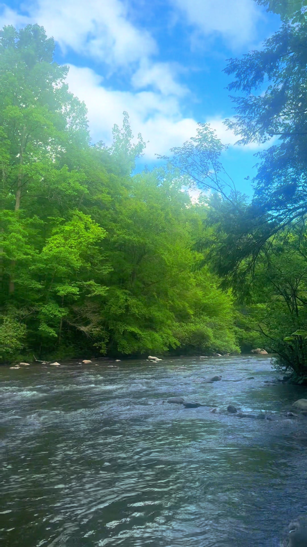 Great Smoky Mountains National Park, TN/NC