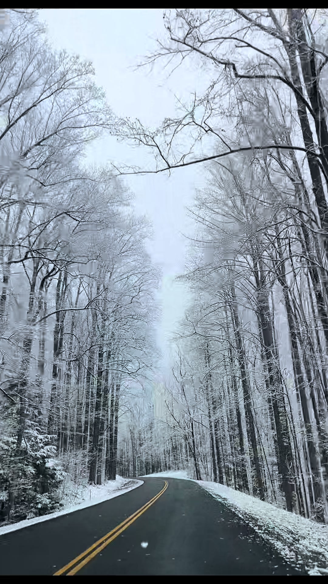 Great Smoky Mountains National Park