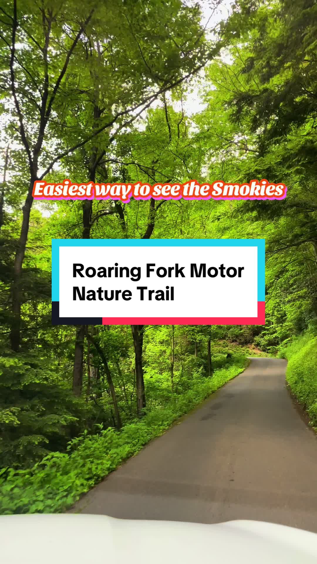 Great Smoky Mountains National Park