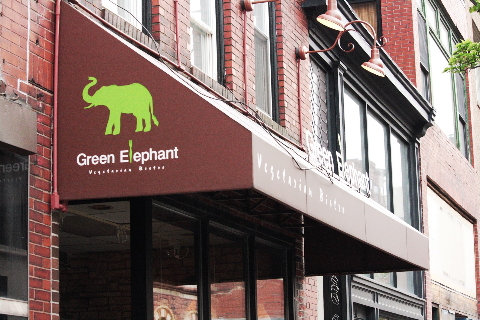Picture for The Green Elephant - Portland, Maine