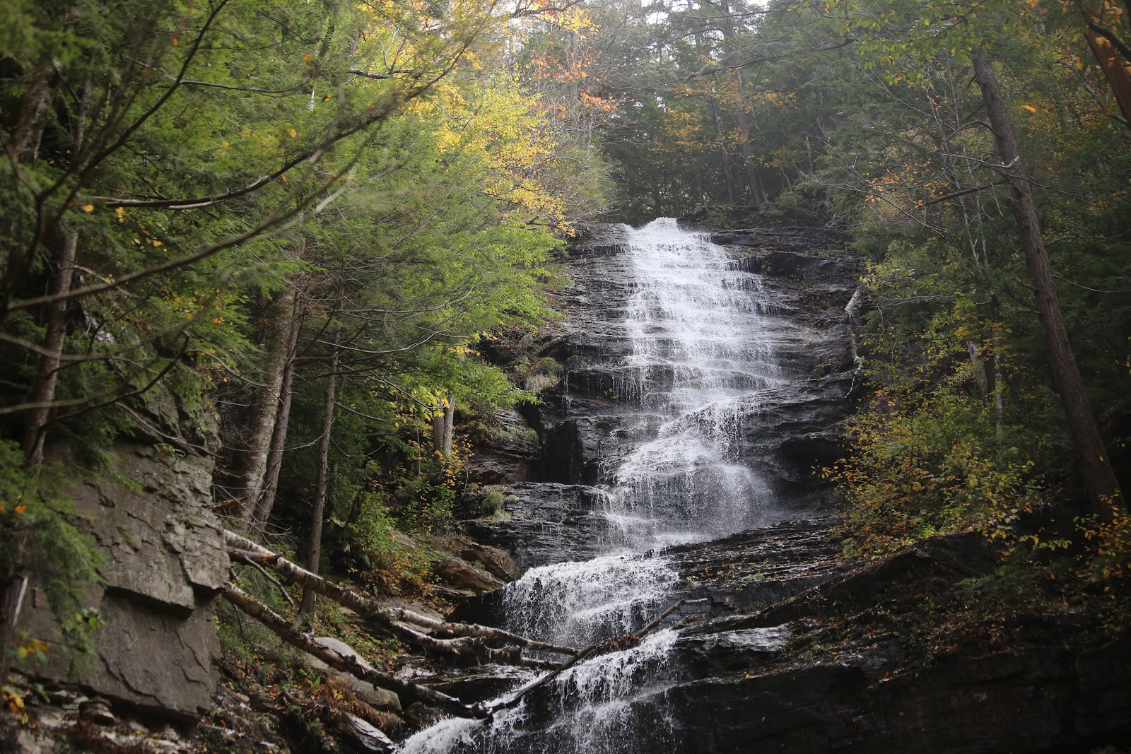 Green Mountains National Forest