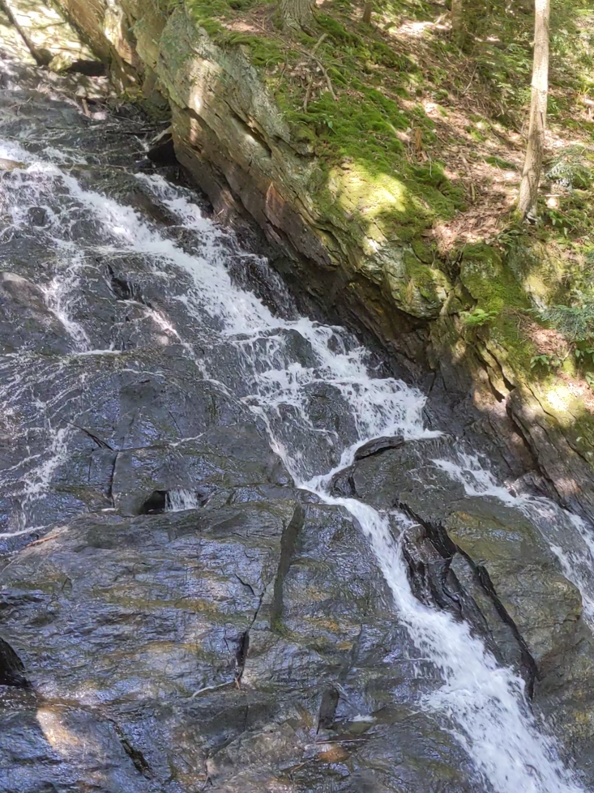 Green Mountain National Forest