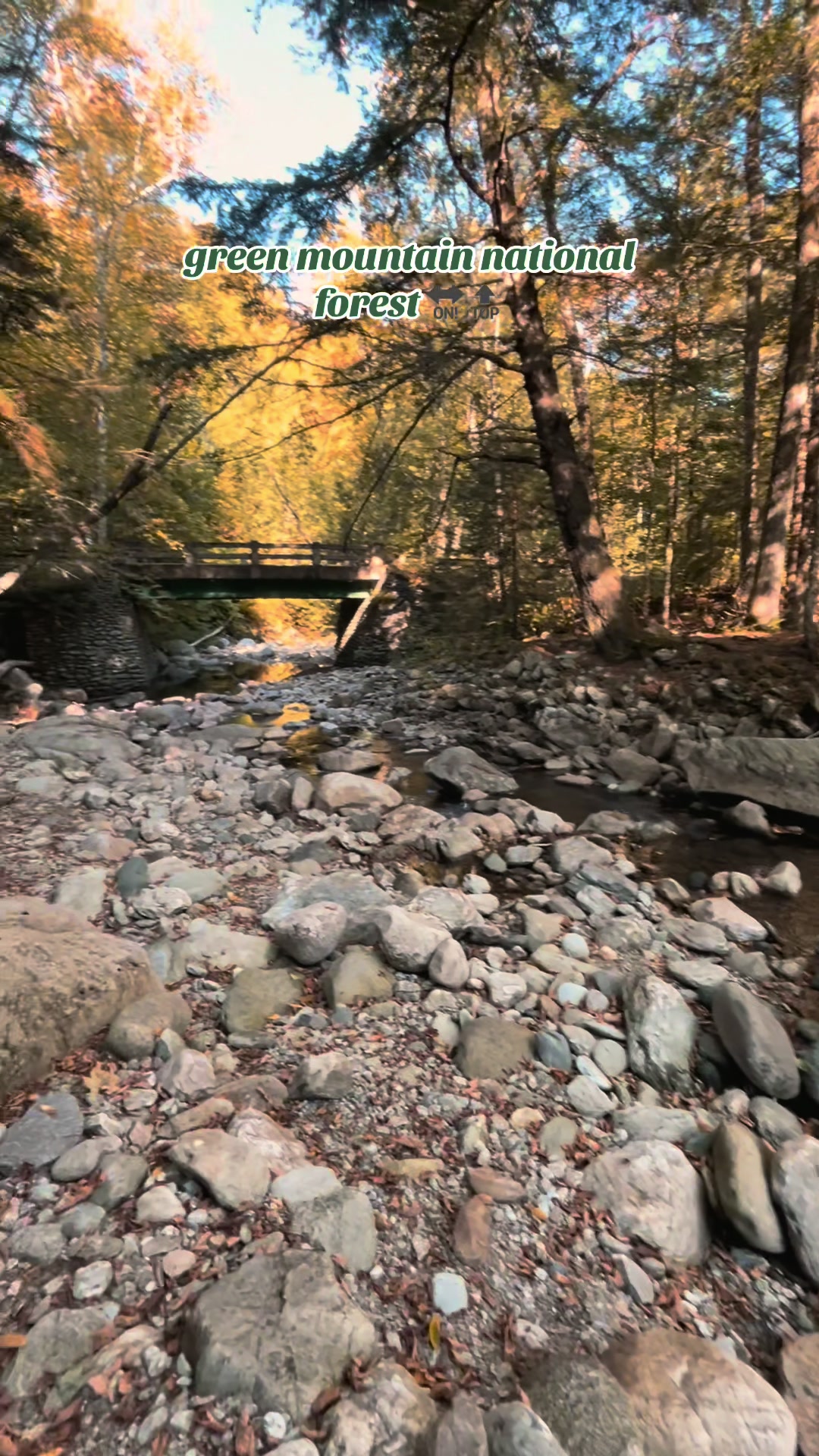 Green Mountains National Forest