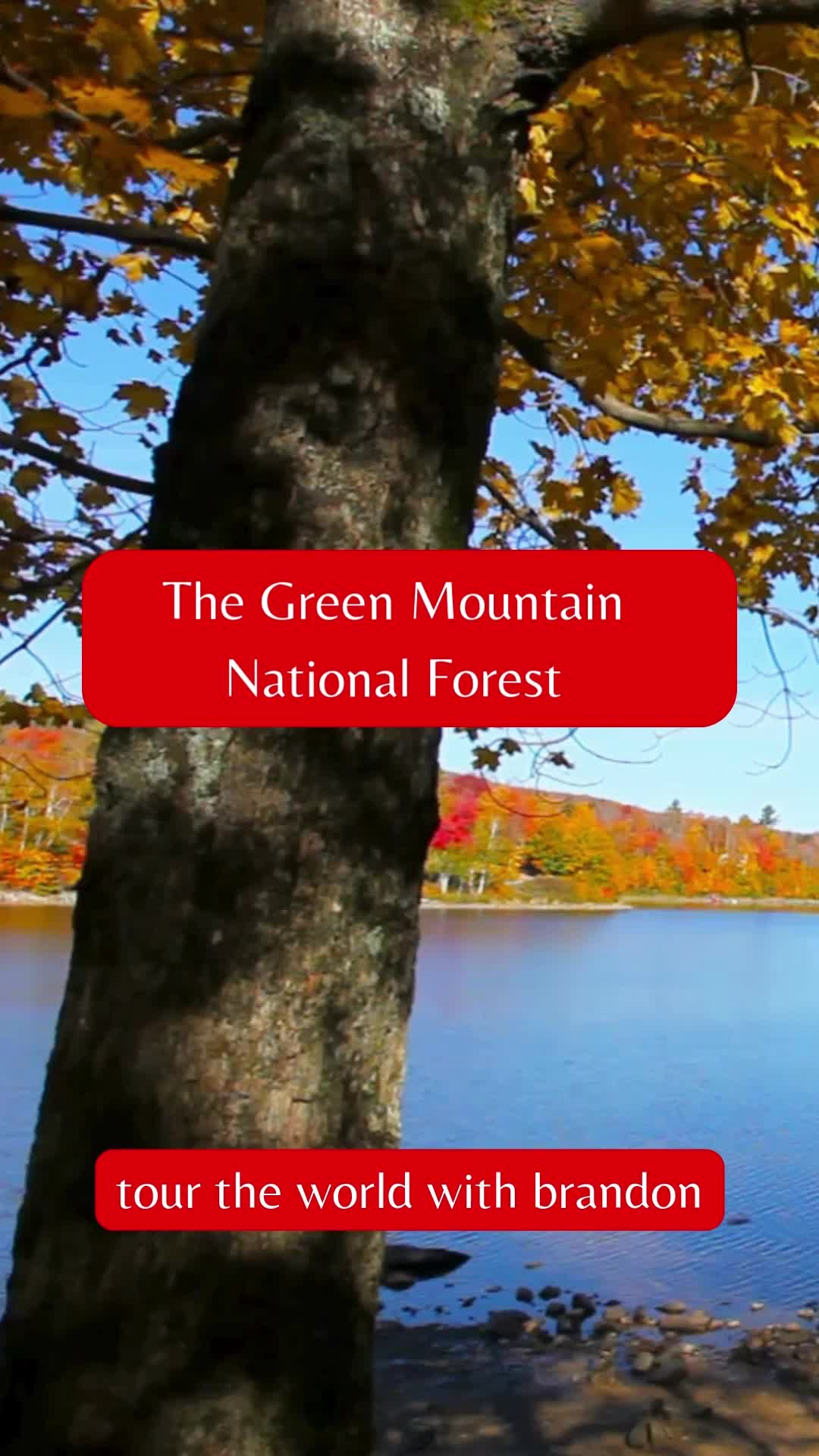Green Mountains National Forest