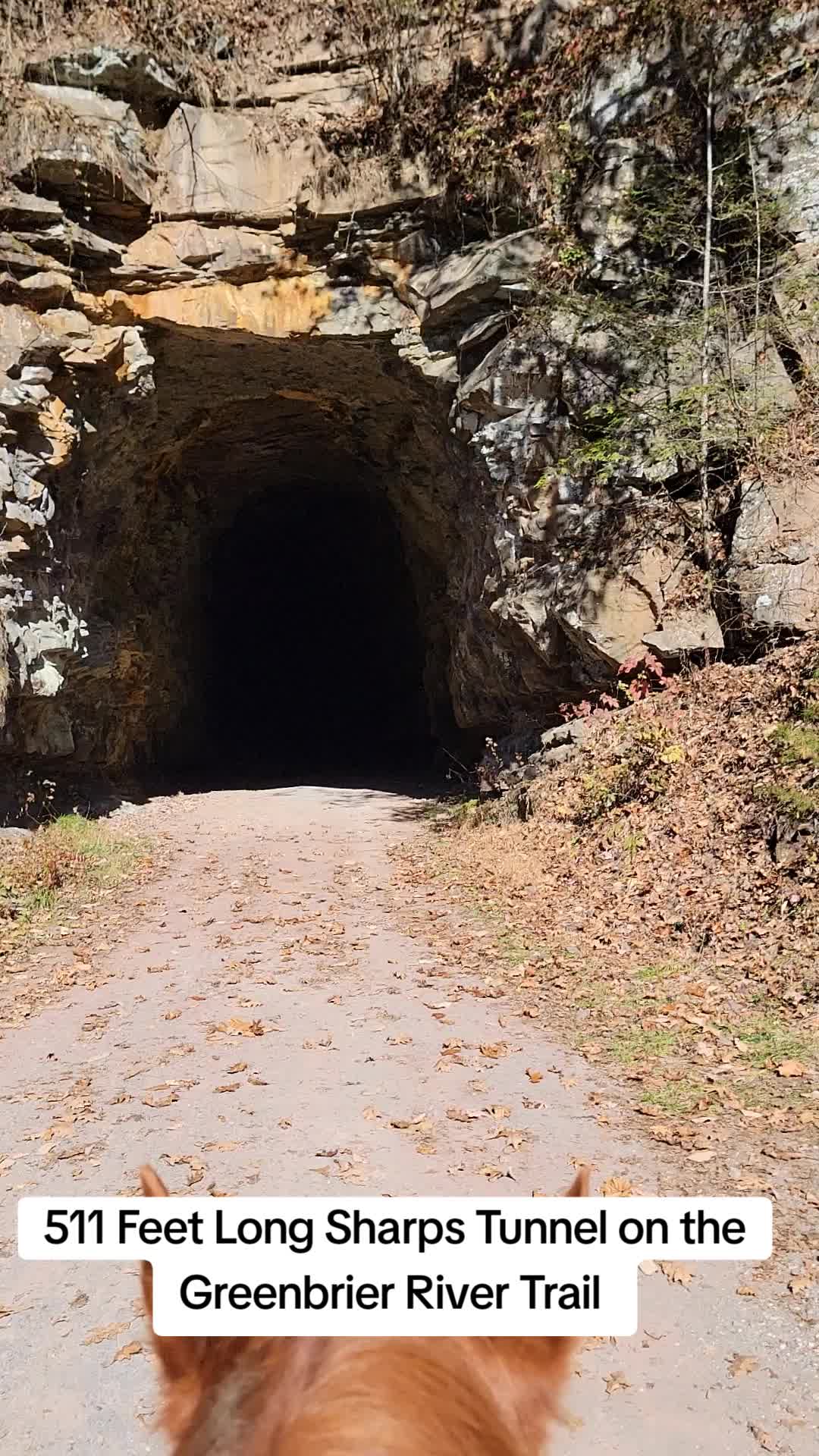 Greenbrier River Trail