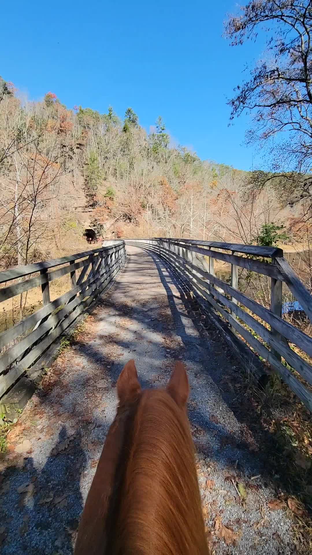 Greenbrier River Trail