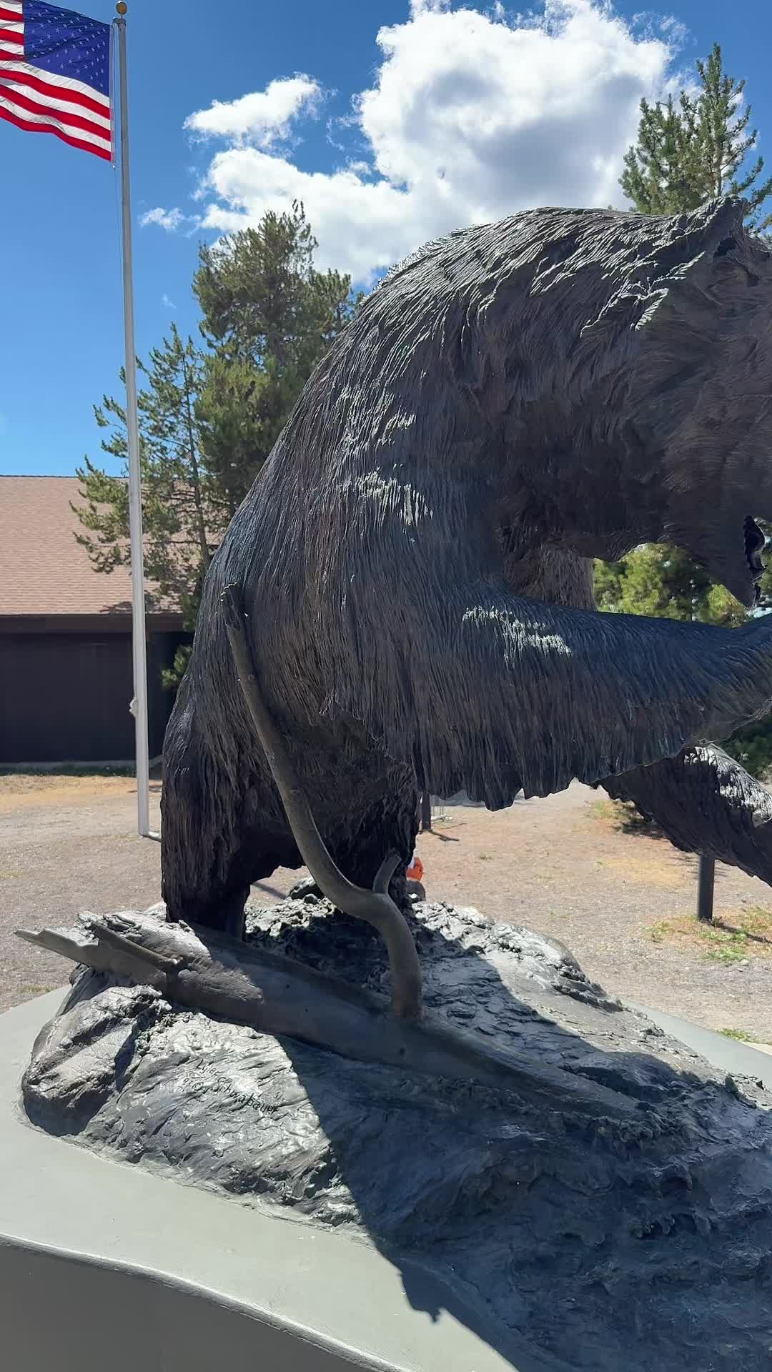 Grizzly & Wolf Discovery Center
