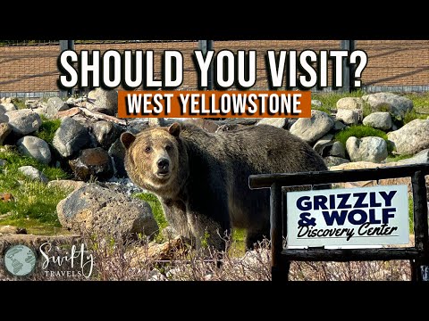 Grizzly & Wolf Discovery Center