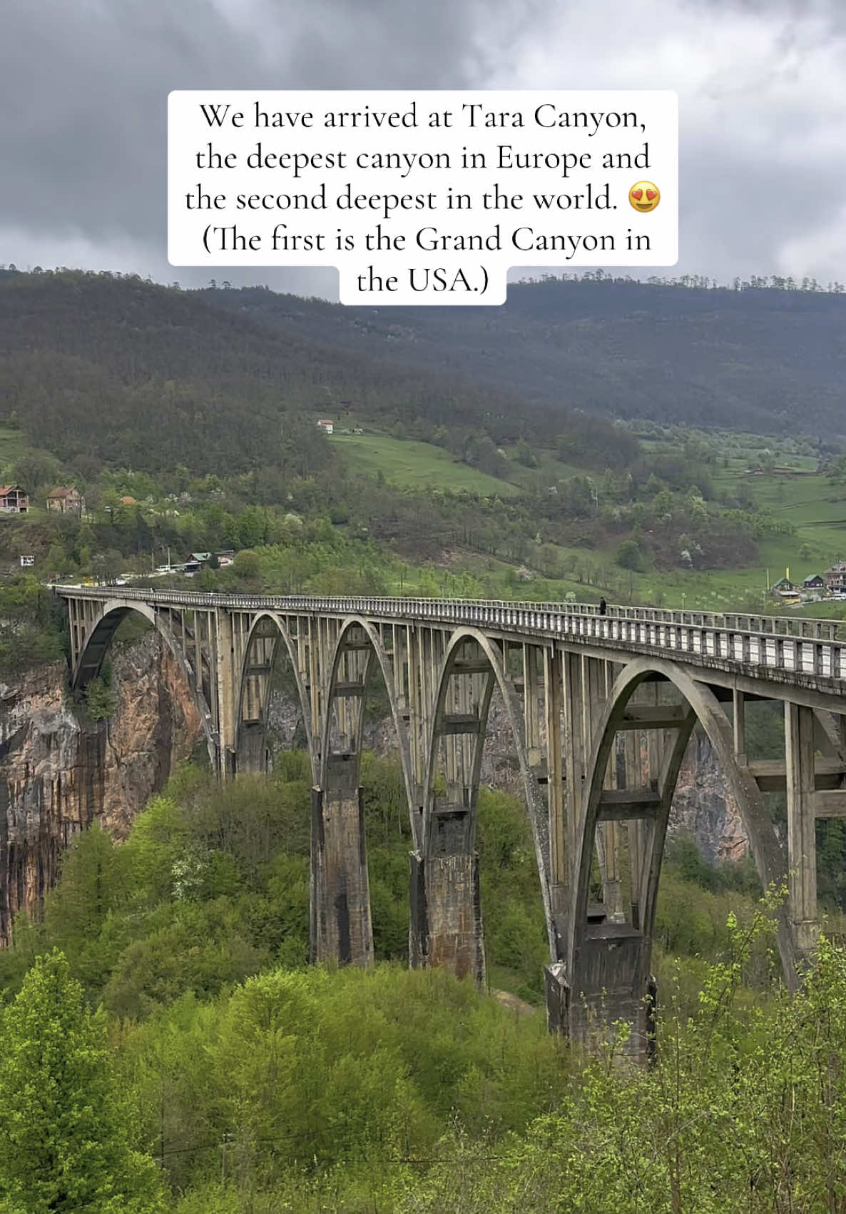 גשר טארה (Đurđevića Tara Bridge)