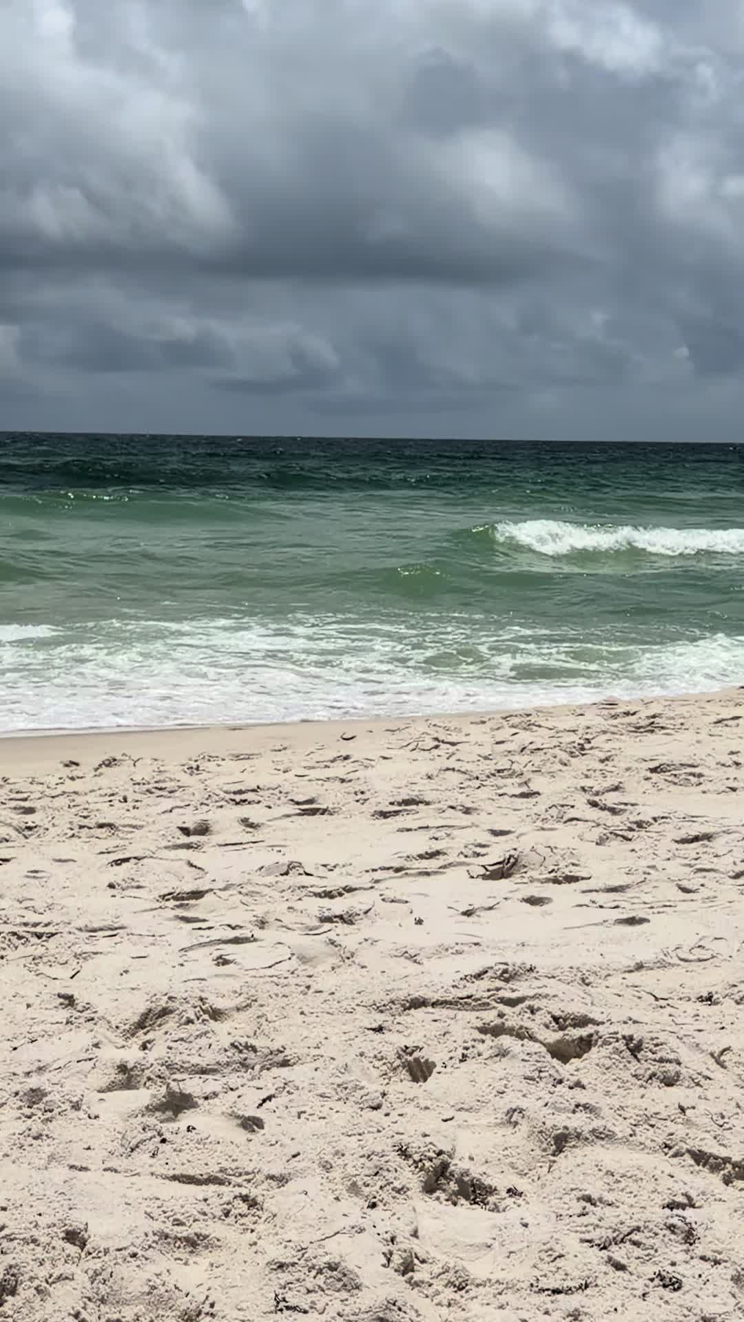 Gulf Shores Public Beach