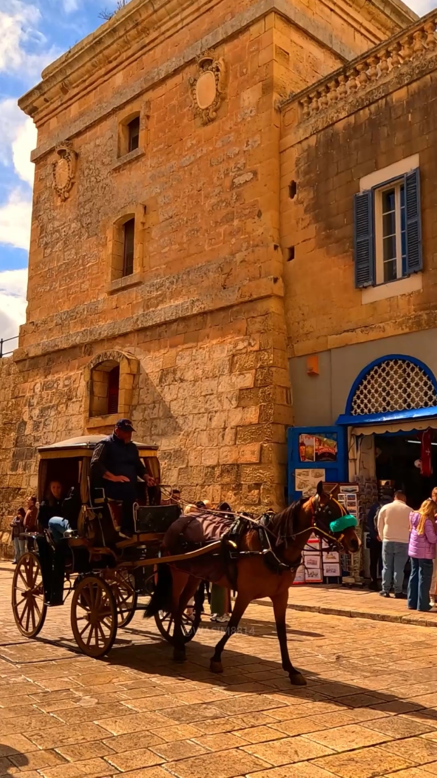 העיירה מדינה (Mdina)