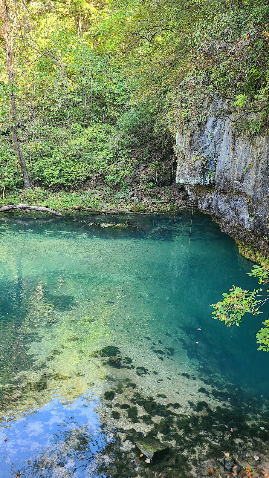 Ha Ha Tonka State Park