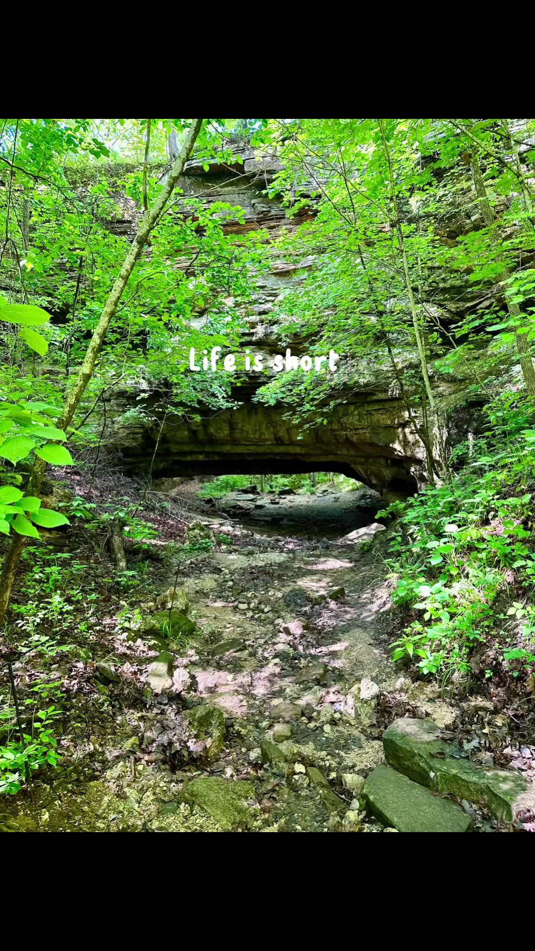 Ha Ha Tonka State Park