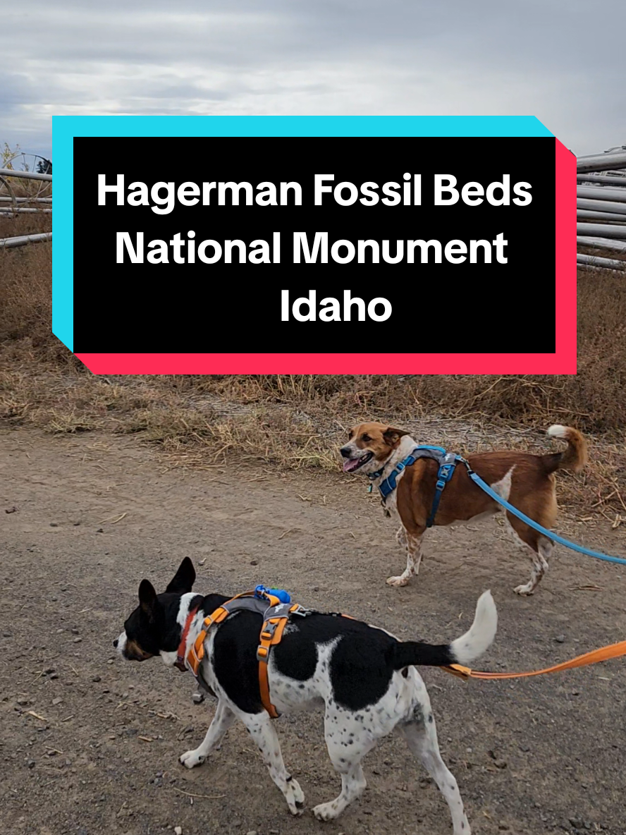 Hagerman Fossil Beds National Monument