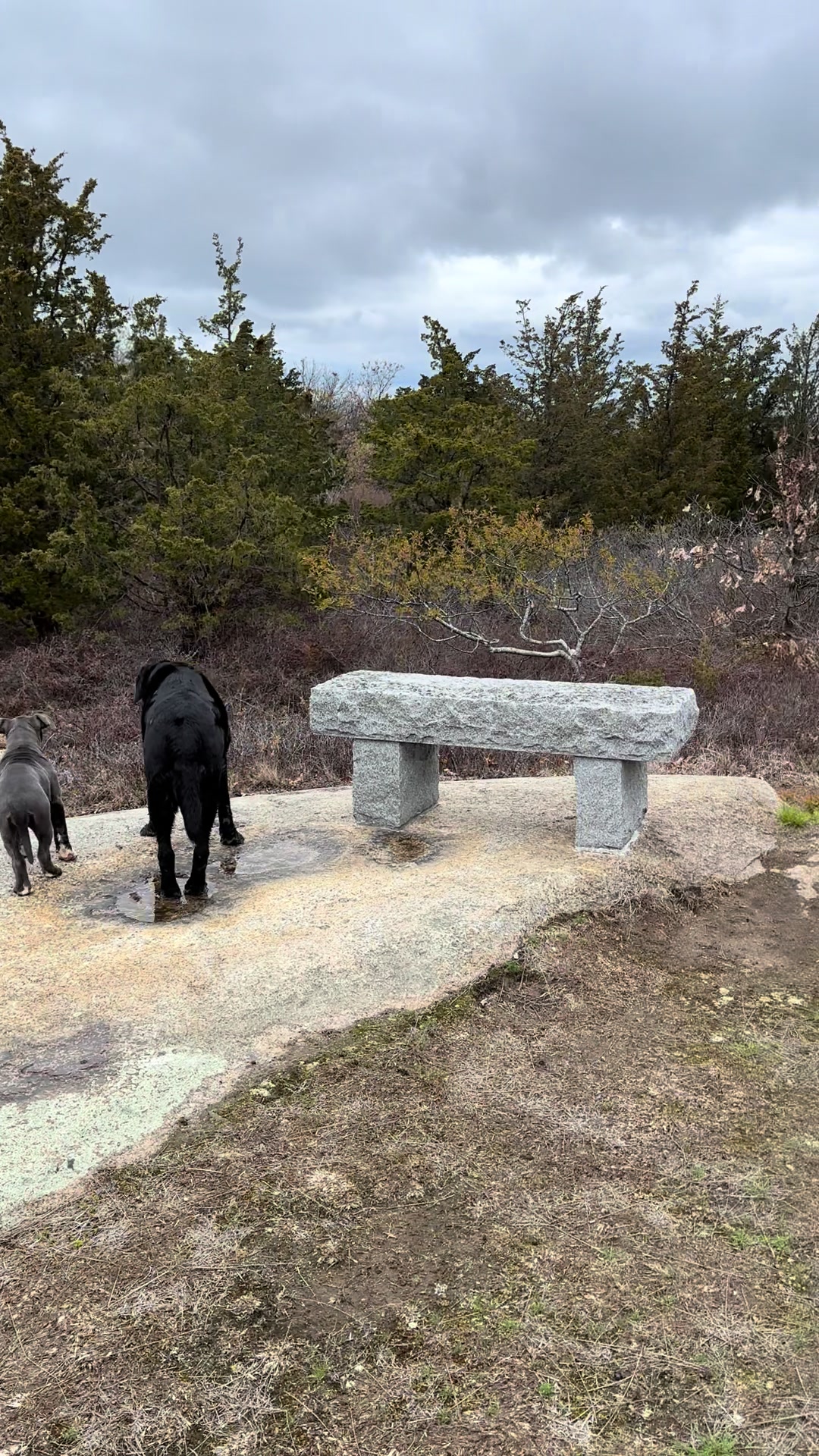 Halibut Point State Park