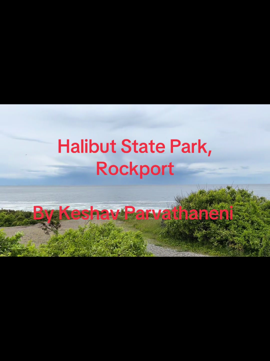 Halibut Point State Park
