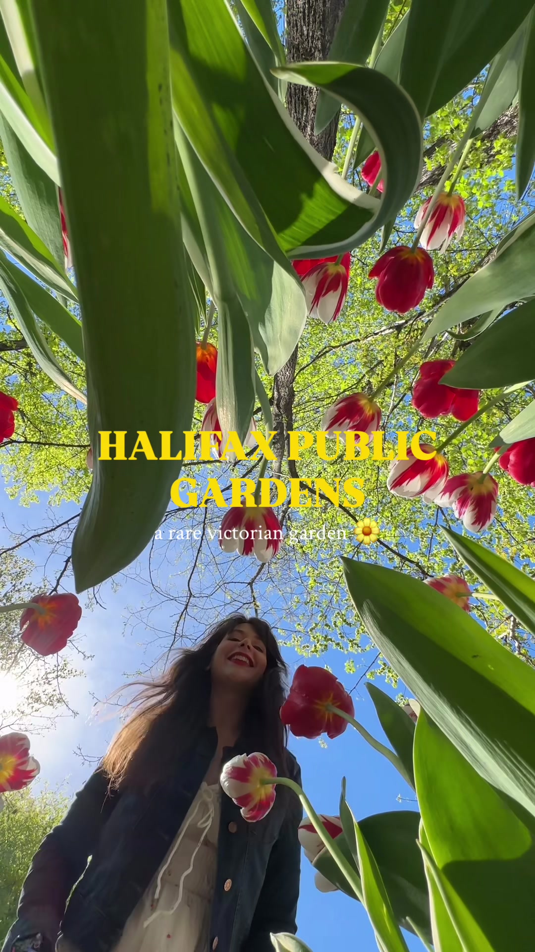 Halifax