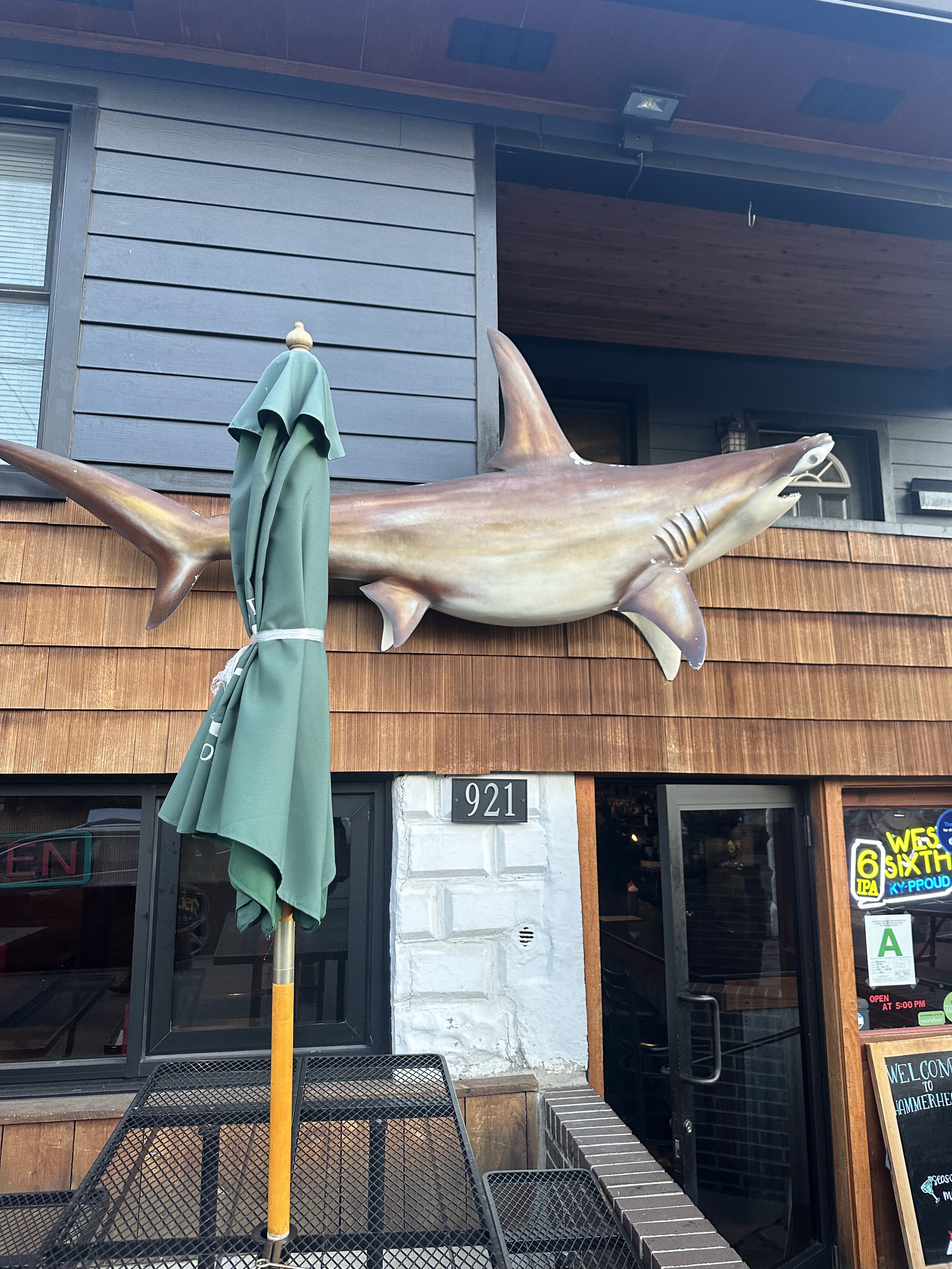 Picture for Hammerheads