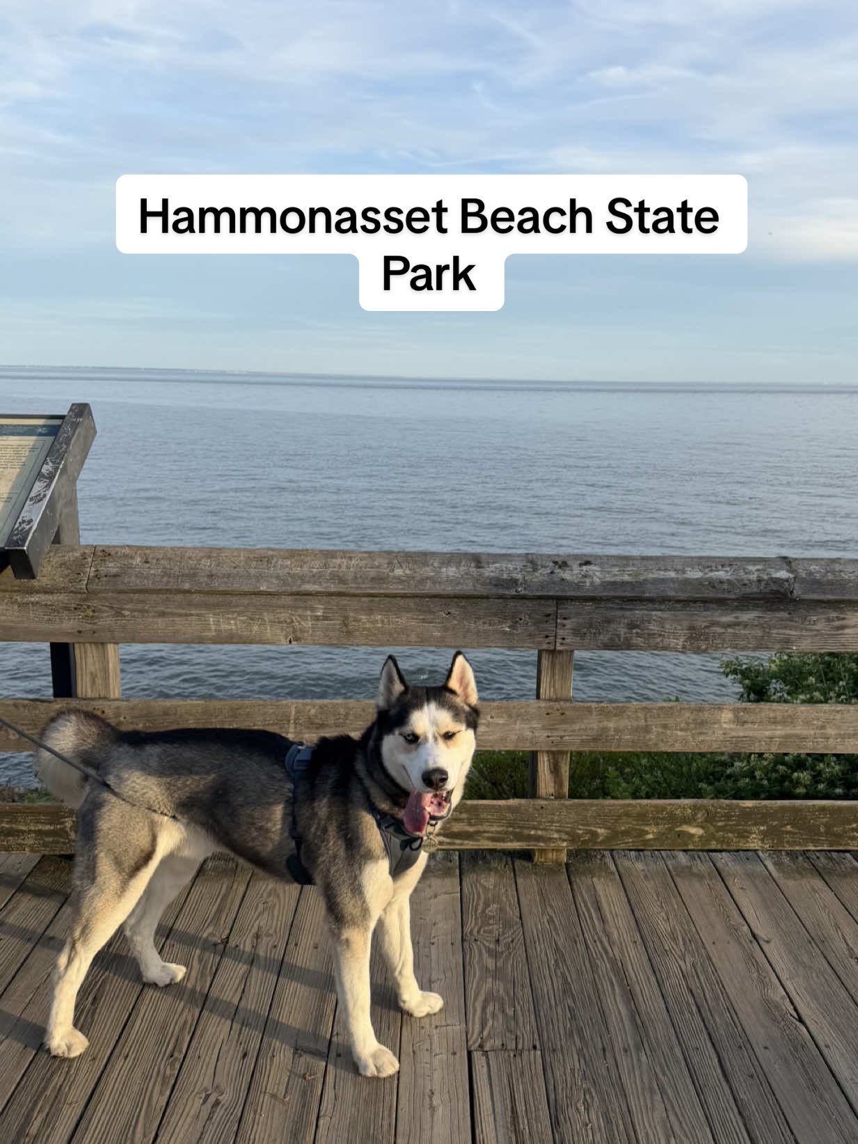 Hammonasset Beach State Park