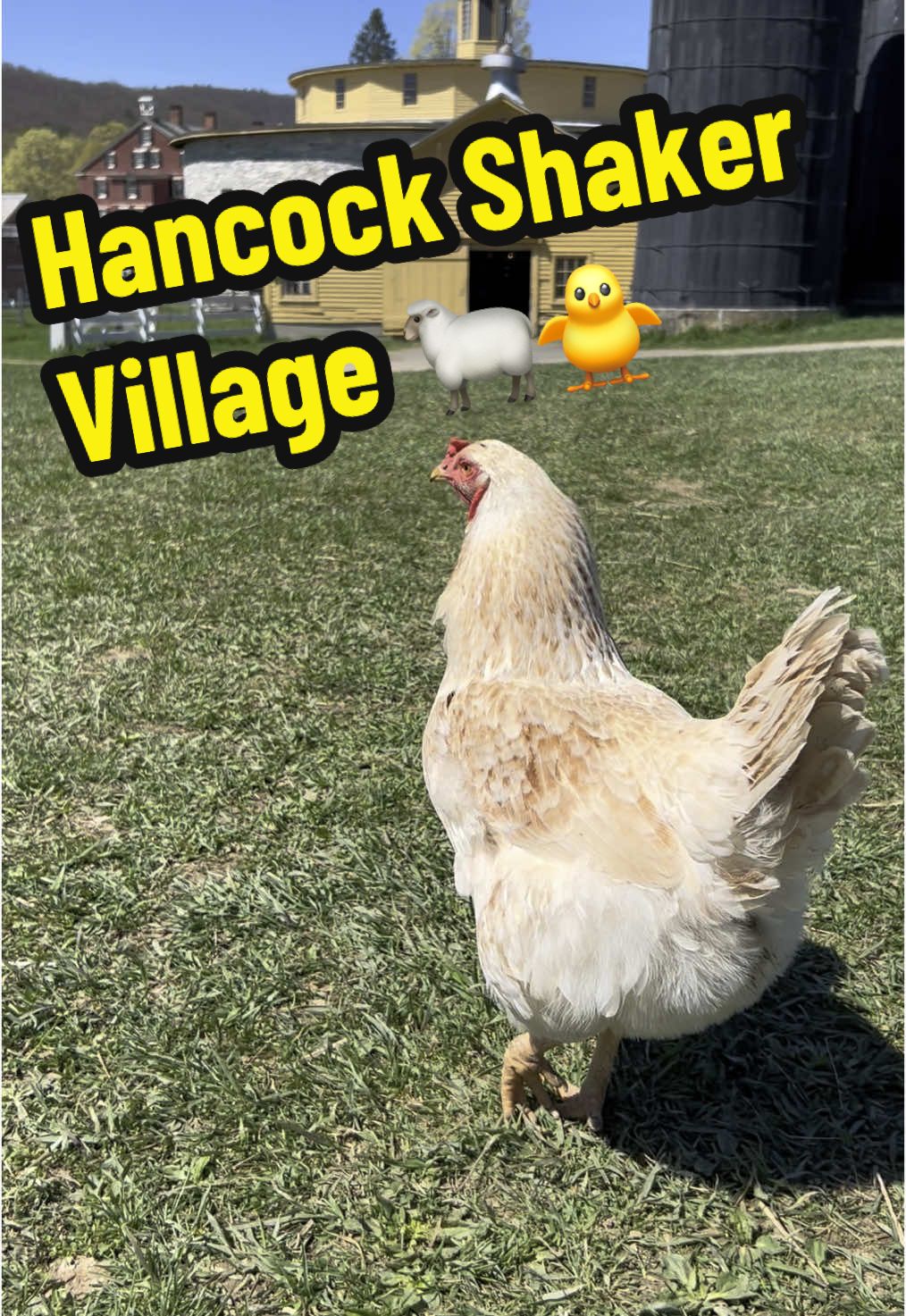Hancock Shaker Village, Massachusetts