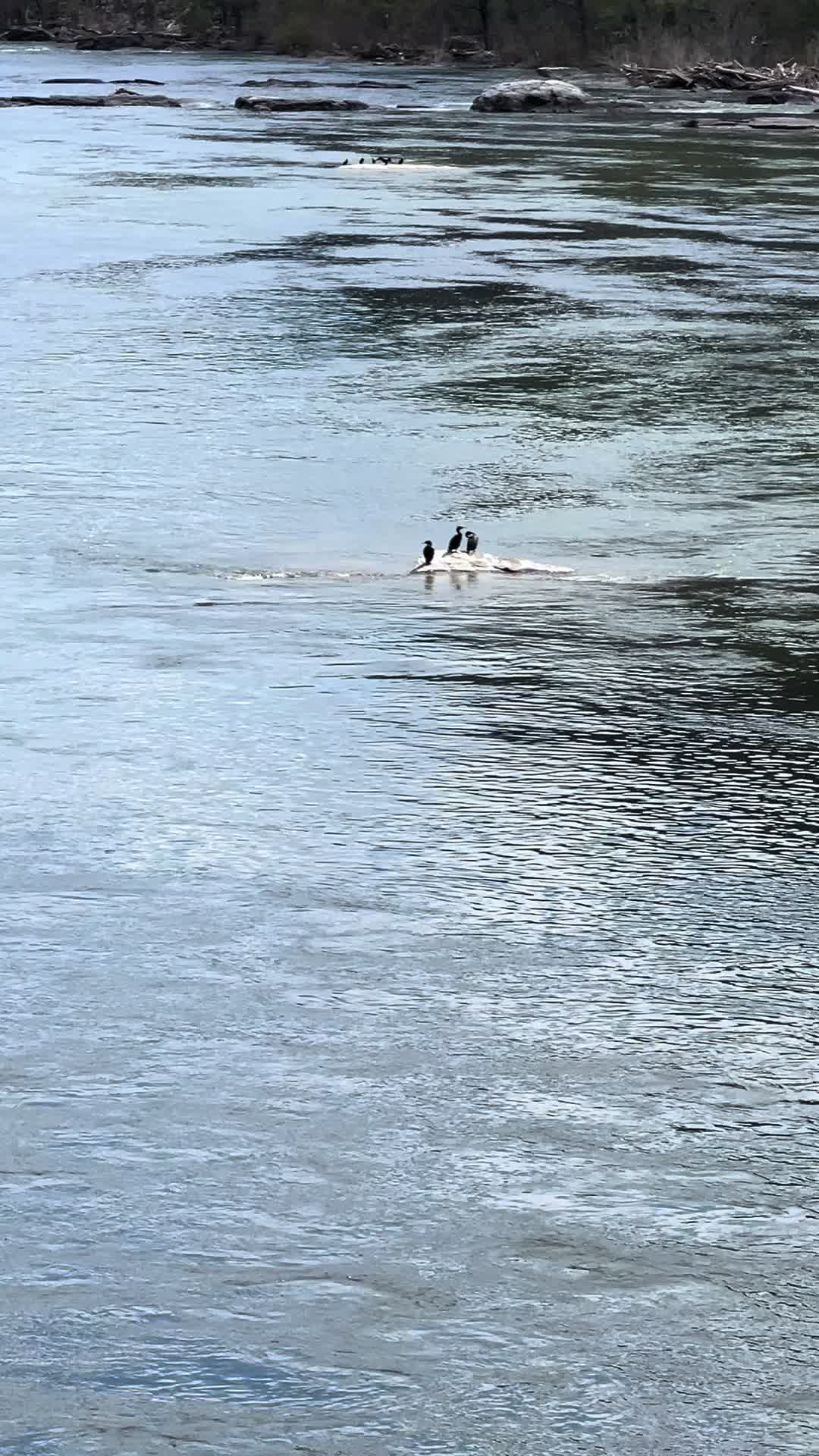 Harper's Ferry, WV