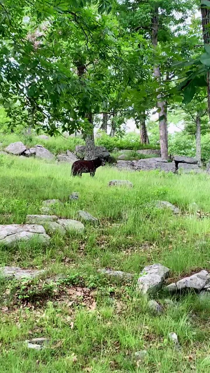 Harriman State Park