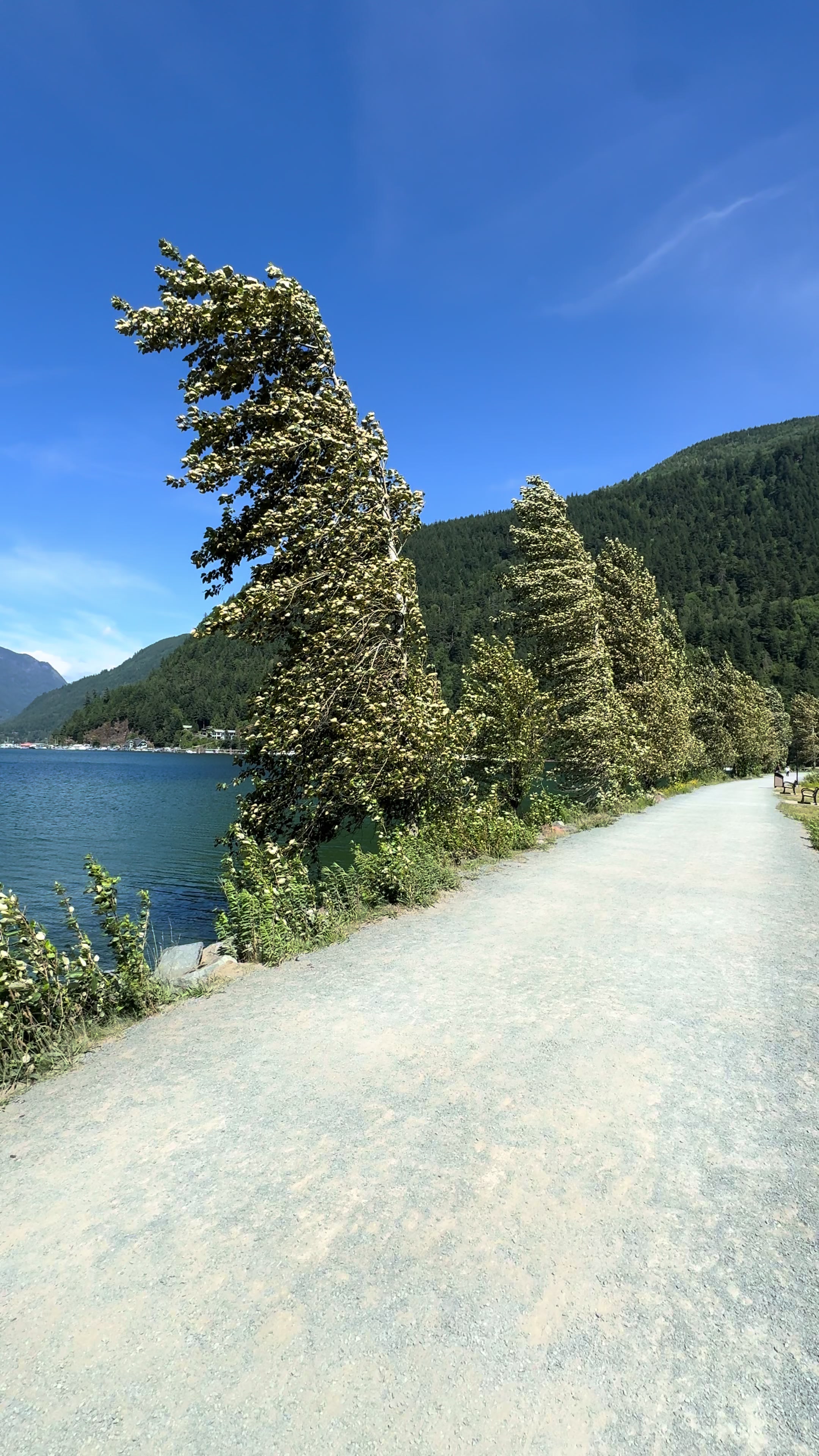 Harrison Hot Springs
