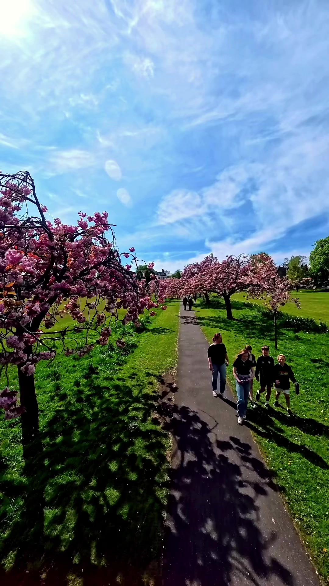 Harrogate