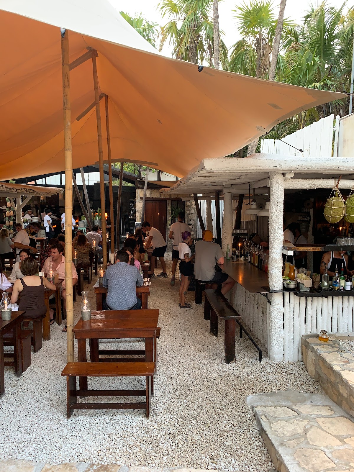 תמונה עבור Hartwood (Tulum area, relocation status varies)