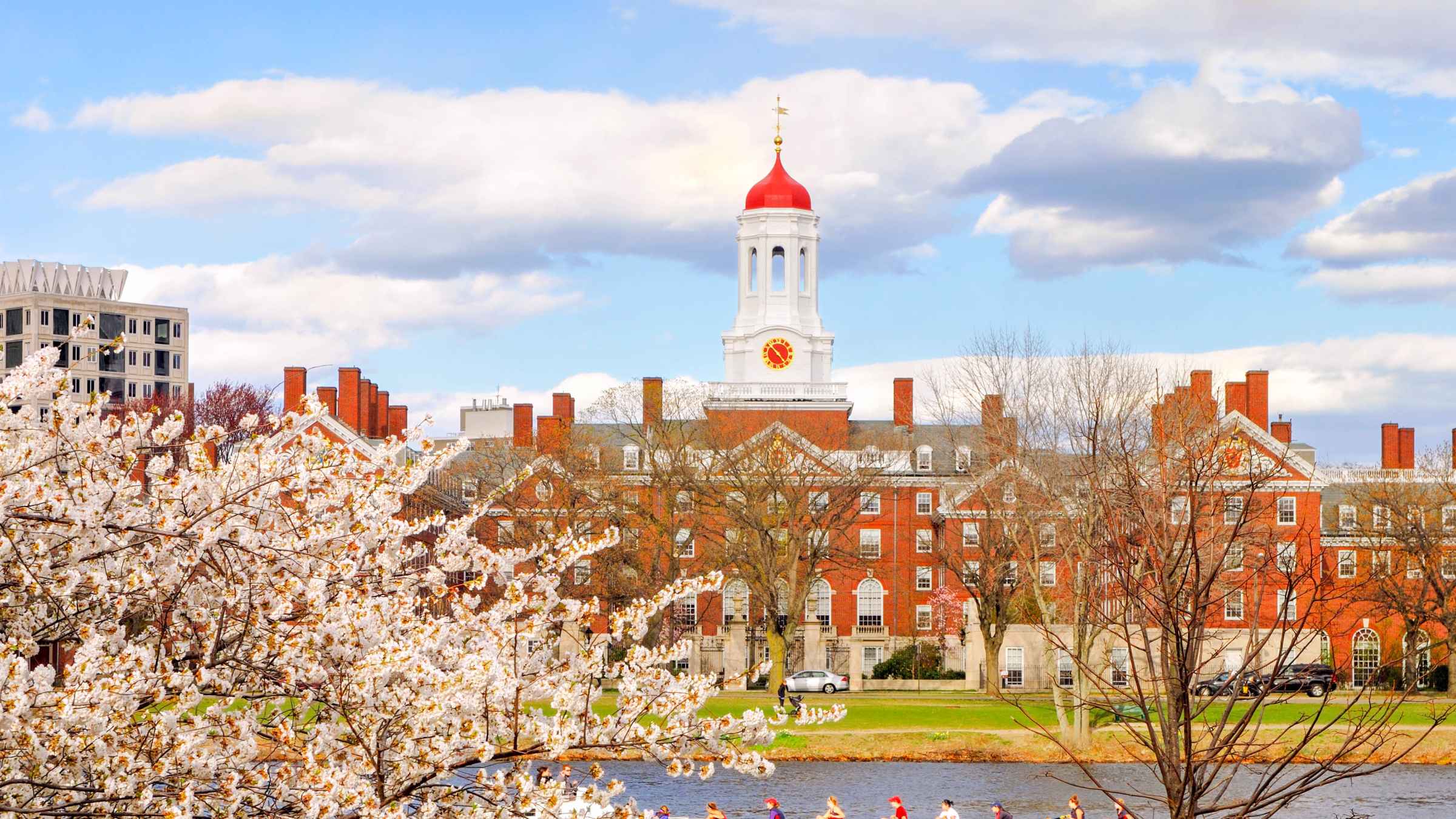 Harvard University