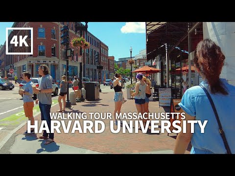 Harvard University