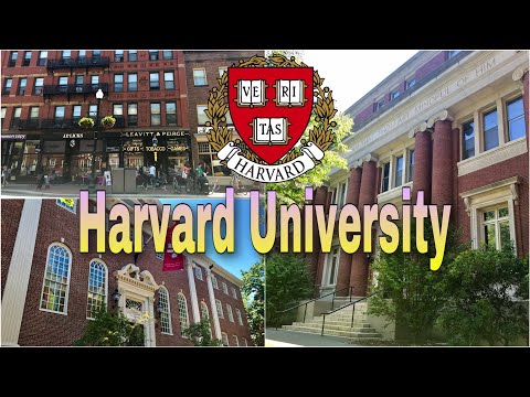 Harvard University