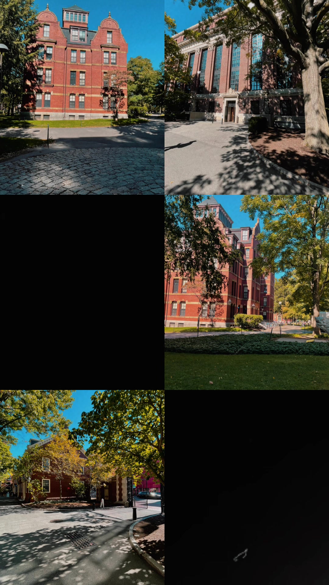 Harvard University