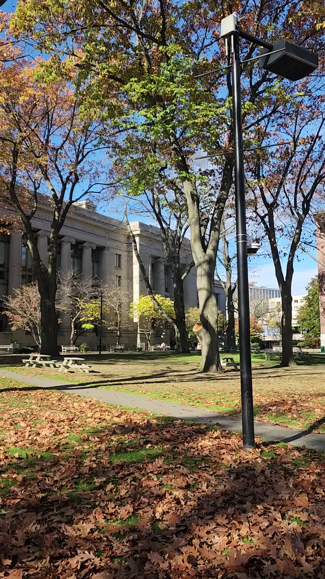 Harvard University