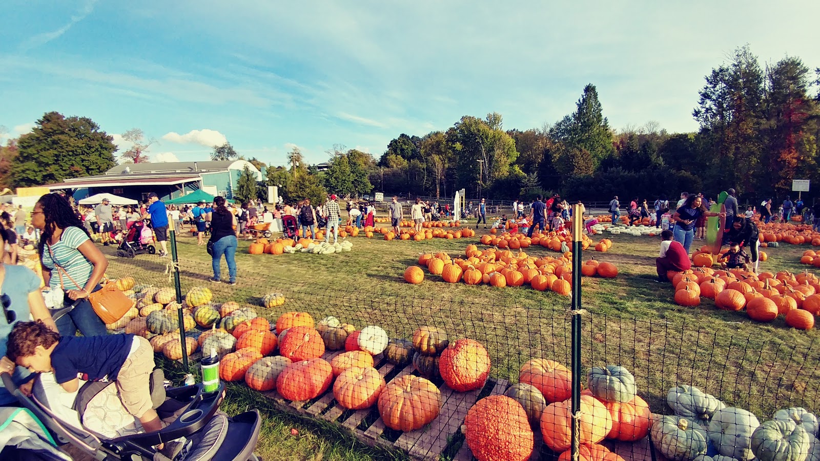 Picture for Harvest Moon Orchard & Cidery