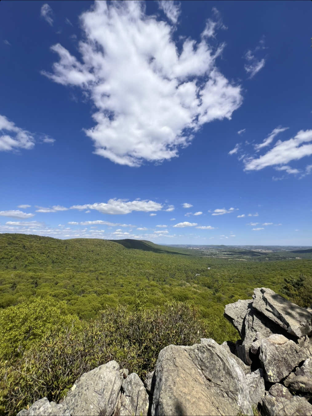 Hawk Mountain Sanctuary