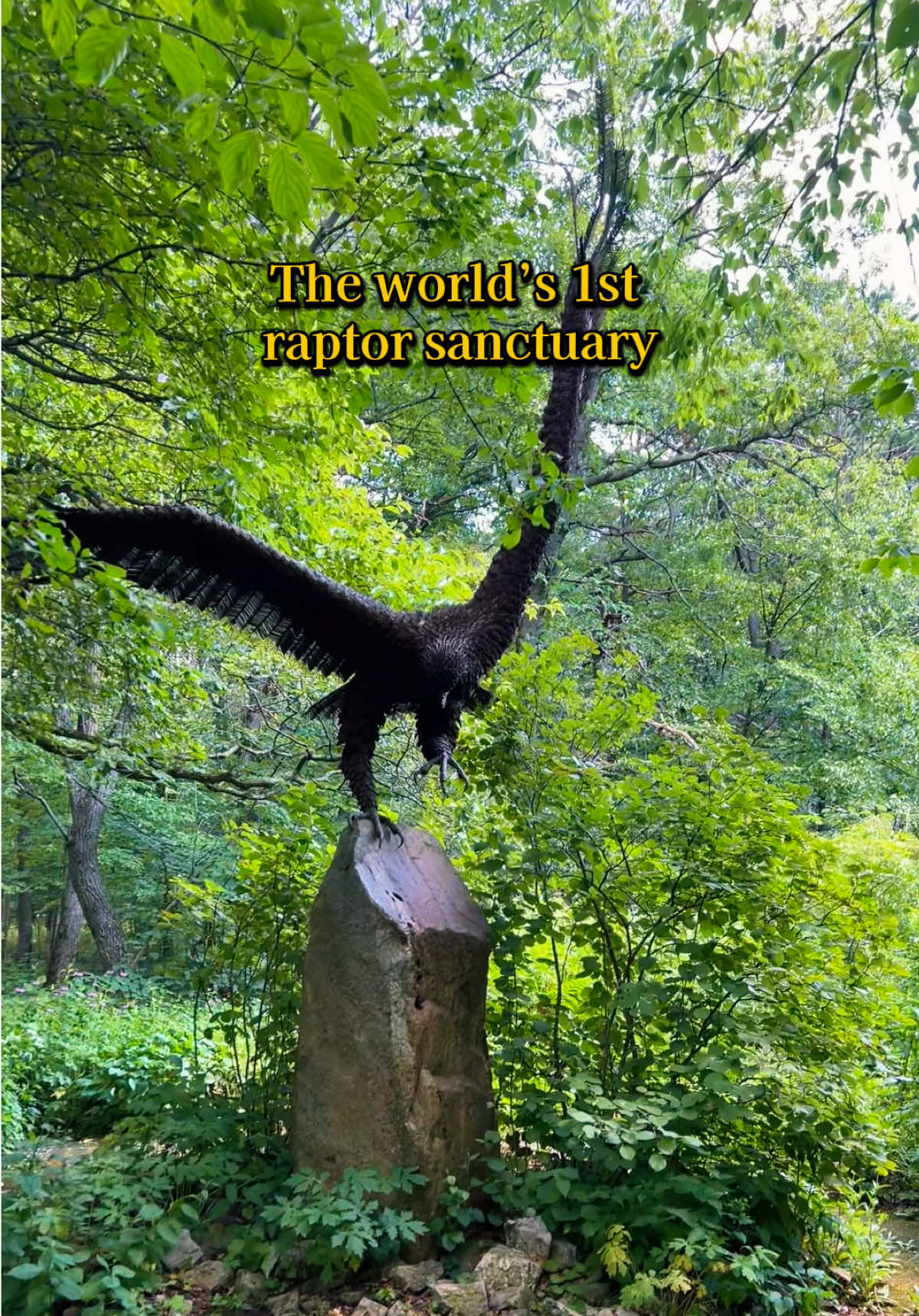 Hawk Mountain Sanctuary