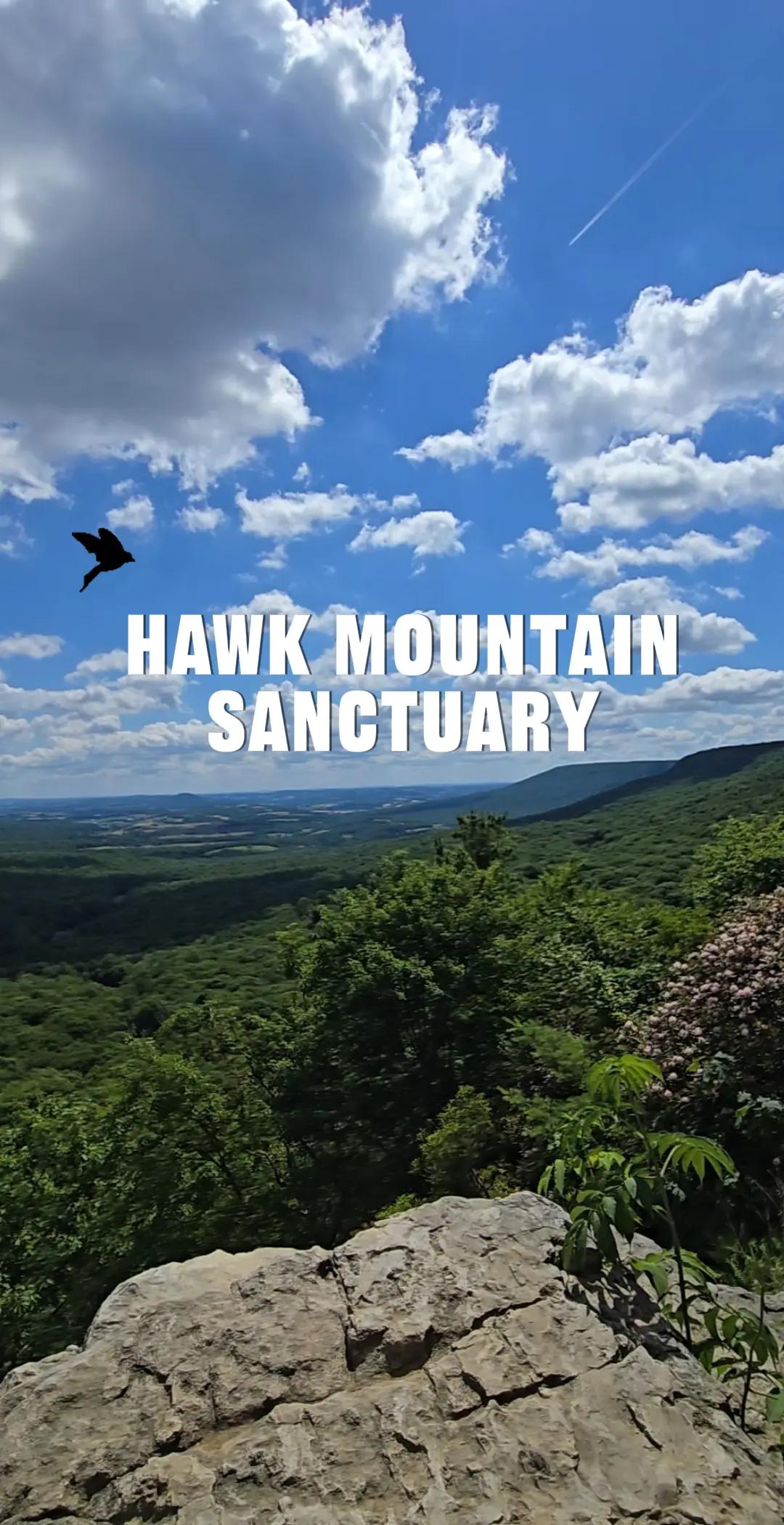 Hawk Mountain Sanctuary