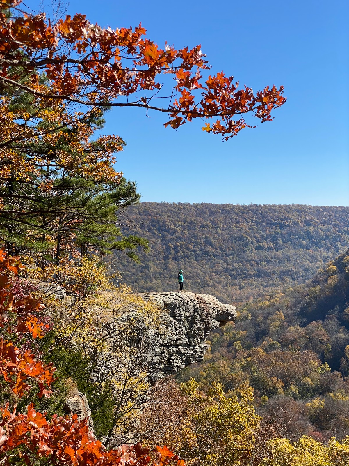 Whitaker Point (Hawksbill Crag)