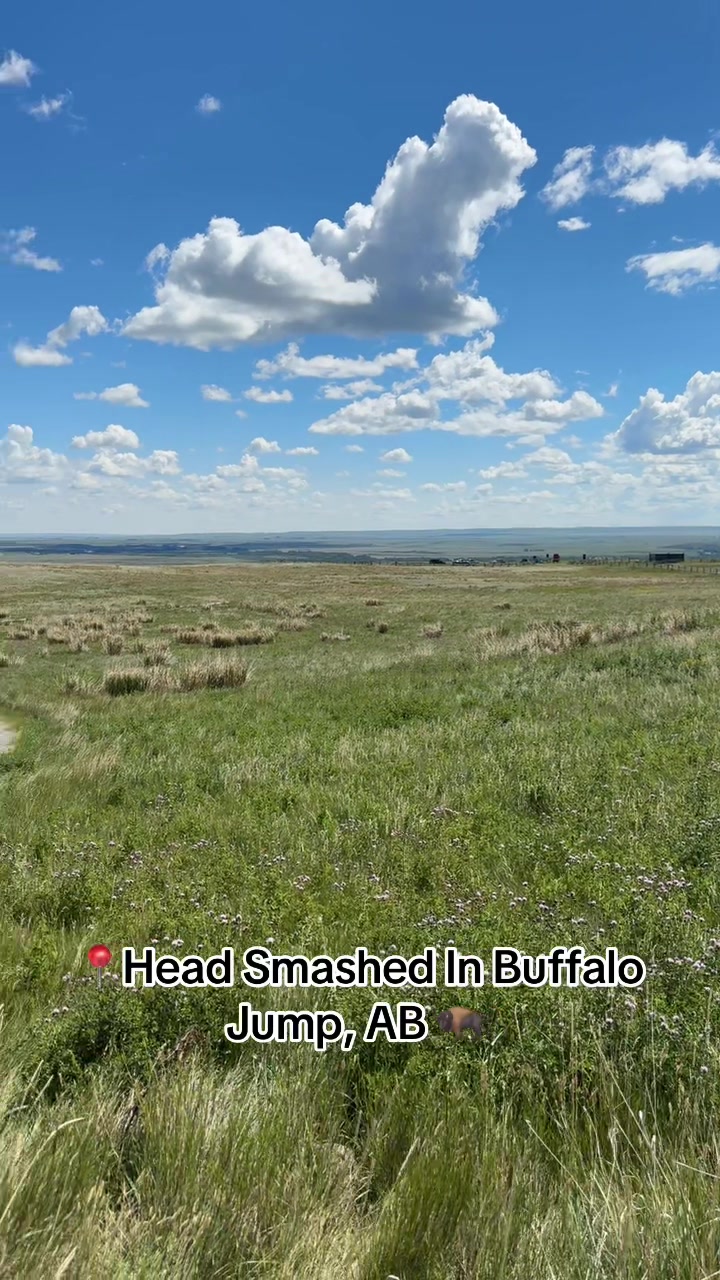 Head-Smashed-In Buffalo Jump